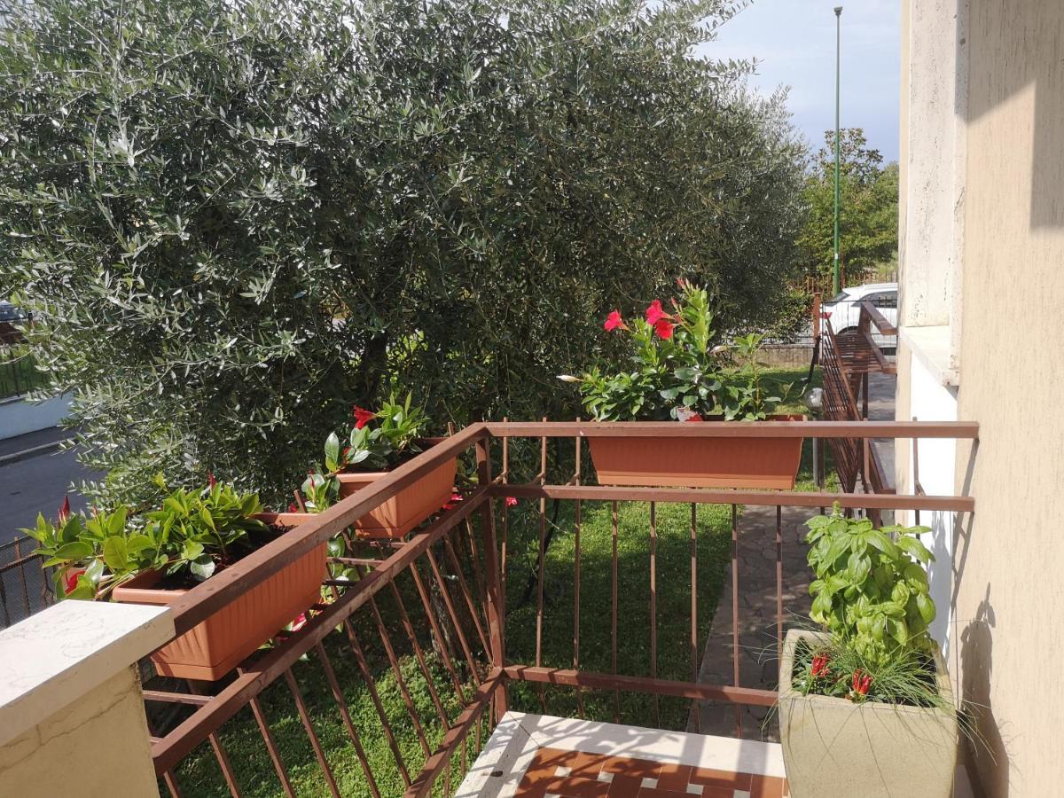 Ai Quattro Ulivi Apartment Peschiera del Garda Bagian luar foto