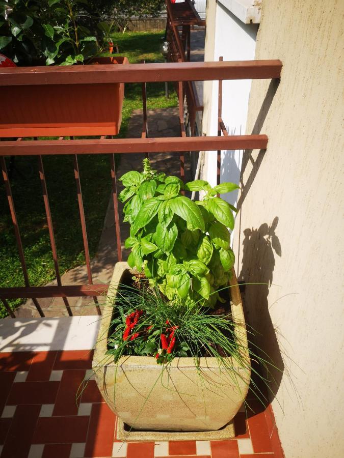 Ai Quattro Ulivi Apartment Peschiera del Garda Bagian luar foto