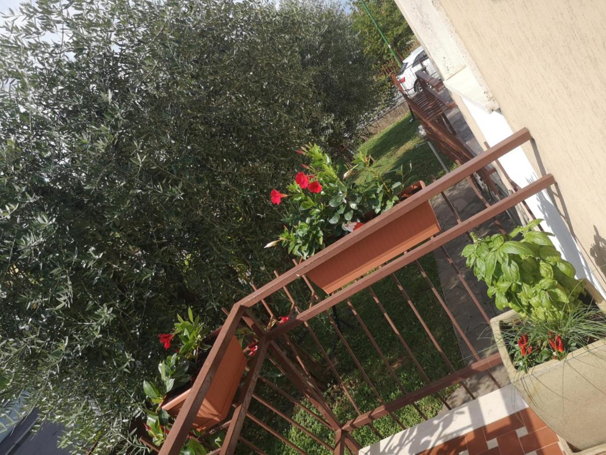 Ai Quattro Ulivi Apartment Peschiera del Garda Bagian luar foto