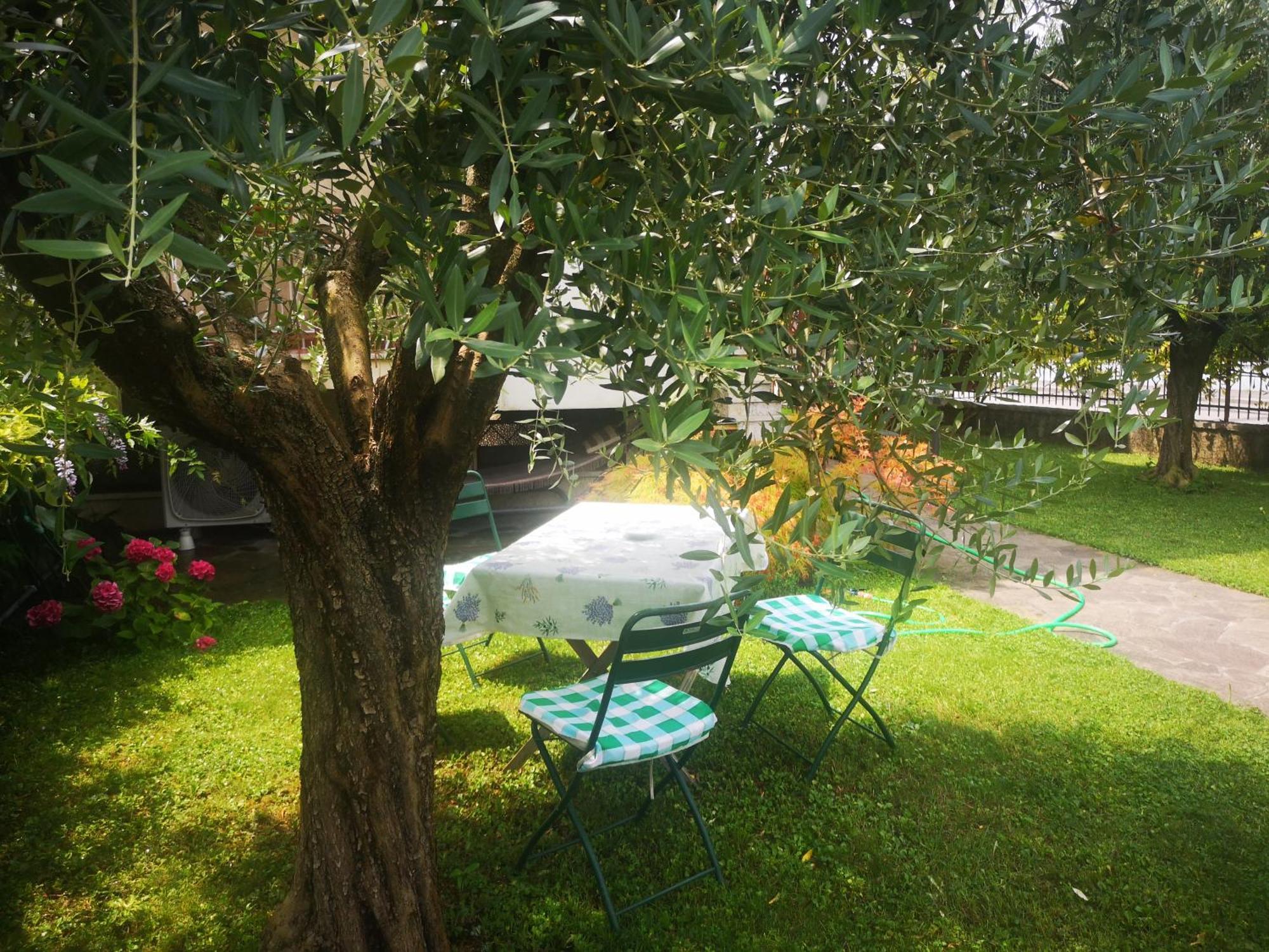 Ai Quattro Ulivi Apartment Peschiera del Garda Bagian luar foto